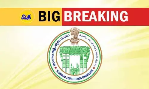 ఆశావహులకు తీపికబురు.. స్థానిక ఎన్నికలపై ఎస్‌ఈసీ కీలక ప్రకటన