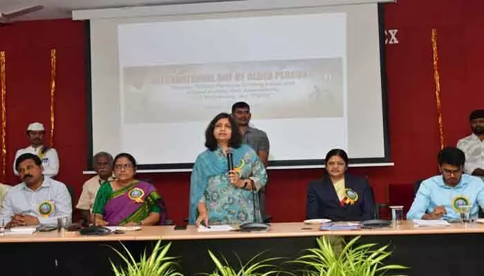వృద్ధులు తమ ఆస్తిని తమ పేరు మీదనే ఉంచుకోవాలి : కలెక్టర్ విజయేందిర బోయి వృద్ధులు తమ ఆస్తిని తమ పేరు మీదనే ఉంచుకోవాలి : కలెక్టర్ విజయేందిర బోయి