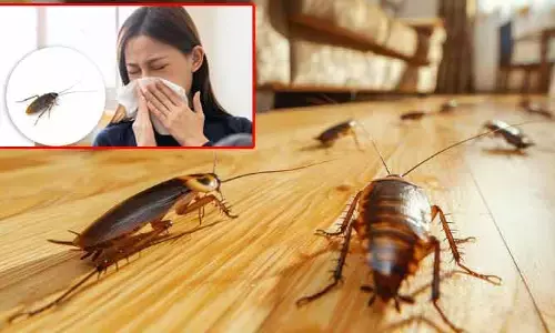 బొద్దింకలుంటే.. పిల్లలకు ఆస్తమా పక్కా! 85% కేసులకు అవే కారణం
