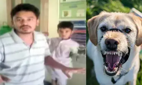 Ap: కుక్క కరిచిందని ఆస్పత్రికి వెళితే...?
