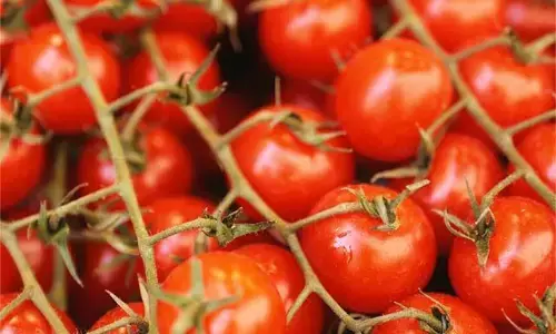 Tomato prices: టమాటా ధర ఢమాల్..కిలో నాలుగు రూపాయ‌లే