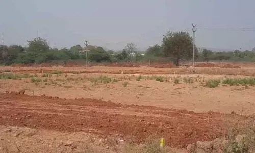లే అవుట్ కాపీ లేకుండానే విక్రయాలు