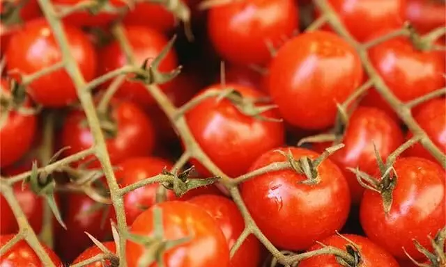 Tomato prices: టమాటా ధర ఢమాల్..కిలో నాలుగు రూపాయలే Tomato prices: టమాటా ధర ఢమాల్..కిలో నాలుగు రూపాయలే