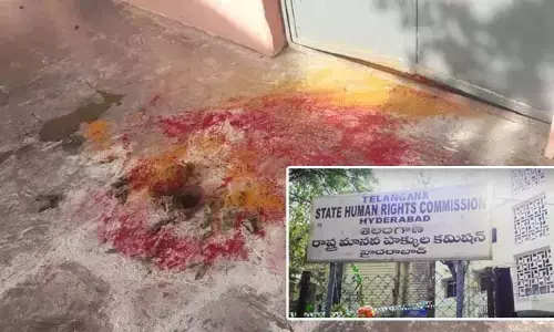 TGHRC : తెలంగాణలో క్షుద్ర పూజల ఘటనలపై సుమోటో కేసు.. తెలంగాణ హెచ్‌ఆర్సీ అలర్ట్!
