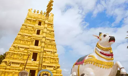 కార్తీకమాసంలో రికార్డు స్థాయిలో ఆదాయం
