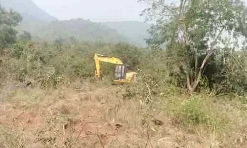 అడవి భూములపై అక్రమ కబ్జాలు