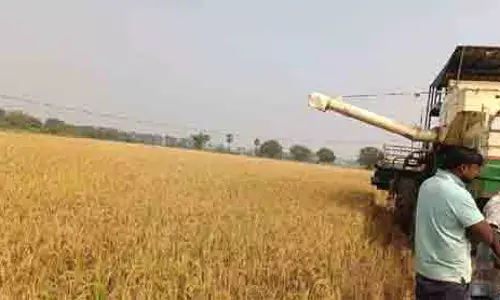 వ‌రికోత స‌మ‌యంలో విద్యుత్ ప్ర‌మాదం