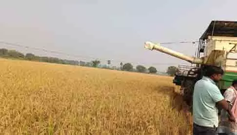 వరికోత సమయంలో విద్యుత్ ప్రమాదం వరికోత సమయంలో విద్యుత్ ప్రమాదం