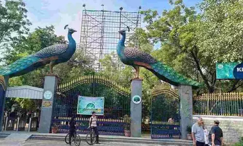 ఆటోమేటెడ్ స్మార్ట్ రోటరీ పార్కింగ్