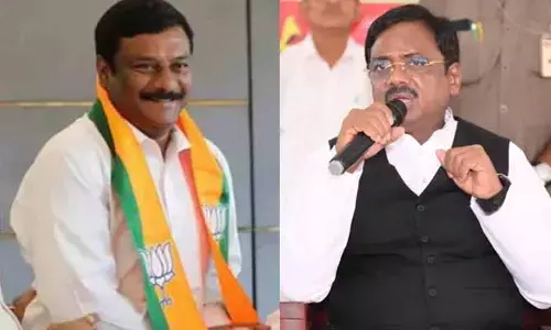 పంచాయతీ ఎన్నికలు.. ఆ ఇద్దరు నేతలకు ఓ సవాల్..