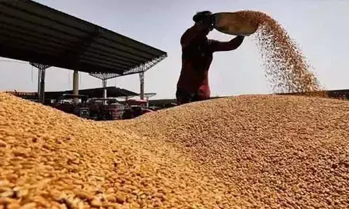 బోనస్ రాదని డిసైడ్ అయిపోవాలా?.. కొనుగోలు కేంద్రాల్లో అధికారుల షాకింగ్ కామెంట్స్