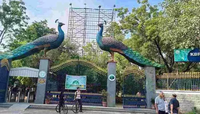 ఆటోమేటెడ్ స్మార్ట్ రోటరీ పార్కింగ్ ఆటోమేటెడ్ స్మార్ట్ రోటరీ పార్కింగ్