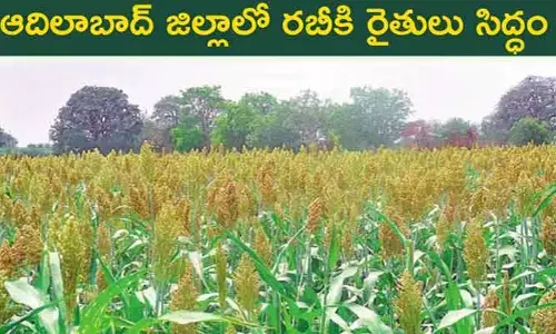 ఆదిలాబాద్ జిల్లాలో రబీకి రైతులు సిద్ధం