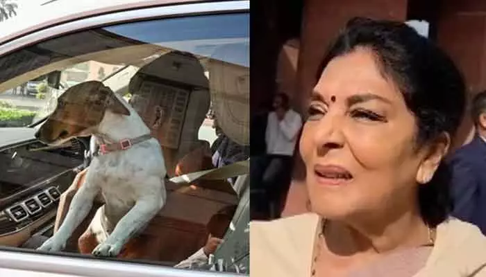 పార్లమెంట్లో కుక్కపిల్ల వివాదం.. కరిచే అసలైన వాళ్లు అక్కడే కూర్చున్నారన్న రేణుకా చౌదరి పార్లమెంట్లో కుక్కపిల్ల వివాదం.. కరిచే అసలైన వాళ్లు అక్కడే కూర్చున్నారన్న రేణుకా చౌదరి