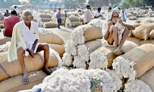 రైతు పత్తికి సవాలక్ష కొర్రీలు..! దళారులు తెచ్చిన పంట గంటల్లోనే తూకం