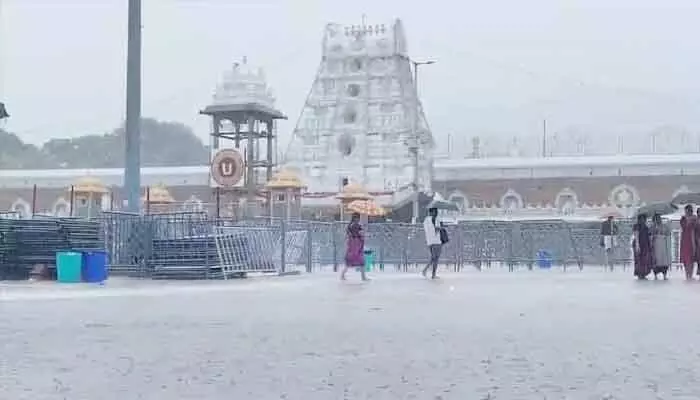 తిరుమలలో భారీ వర్షాలతో తగ్గిన భక్తుల రద్దీ.. గంటల్లోనే సులువుగా శ్రీవారి దర్శనం తిరుమలలో భారీ వర్షాలతో తగ్గిన భక్తుల రద్దీ.. గంటల్లోనే సులువుగా శ్రీవారి దర్శనం