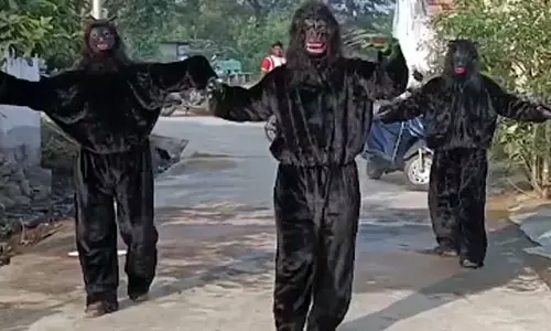 సర్పంచ్‌ అభ్యర్థుల వింత ప్రచారం.. ఎలుగుబంటి, చింపాంజీ వేషధారణ