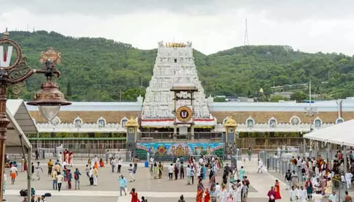 తిరుమలలో భక్తుల రద్దీ సాధారణం.. కేవలం నాలుగు గంటల్లోనే శ్రీవారి దర్శనం తిరుమలలో భక్తుల రద్దీ సాధారణం.. కేవలం నాలుగు గంటల్లోనే శ్రీవారి దర్శనం