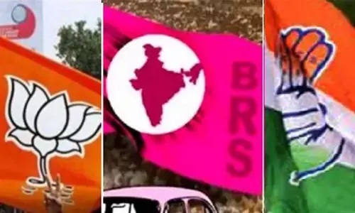 జోరులేని స్థానికం.. ఆసక్తి చూపని నాయకులు