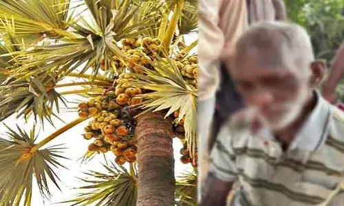 తాటి చెట్టుపై నుంచి పడి గీత కార్మికుడికి తీవ్ర గాయాలు