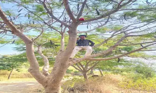 అక్క‌డ ఫోన్ మాట్లాడాలంటే చెట్టు ఎక్కాల్సిందే..!