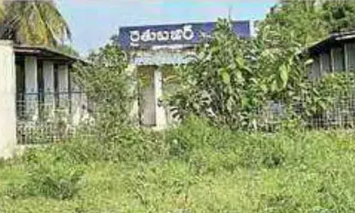 తుప్పలు పెరిగి శిధిలస్థితికి  రైతుబజారు