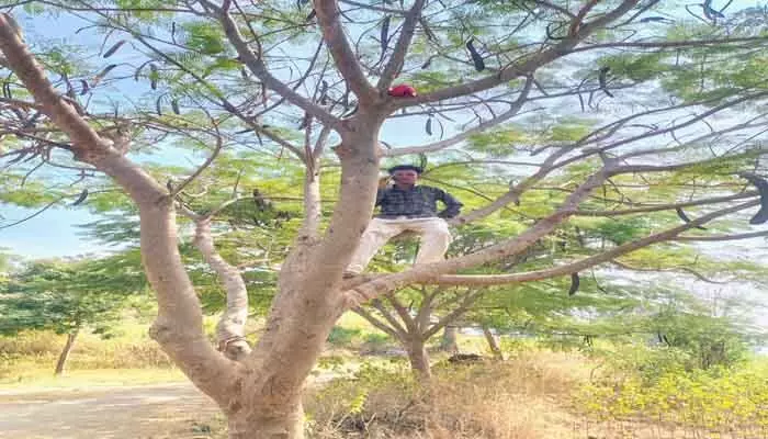 అక్కడ ఫోన్ మాట్లాడాలంటే చెట్టు ఎక్కాల్సిందే..! అక్కడ ఫోన్ మాట్లాడాలంటే చెట్టు ఎక్కాల్సిందే..!