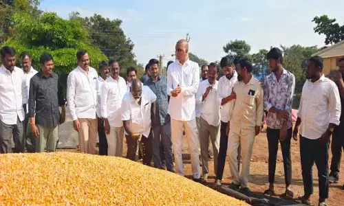 రేవంత్ రెడ్డి సిద్దిపేటకు రా.. హరీష్ రావు మాస్ వార్నింగ్..!