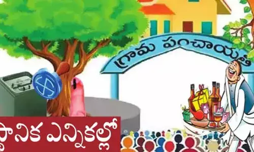 స్థానిక ఎన్నికలు.. ఇంటింటికీ మటన్, చికెన్