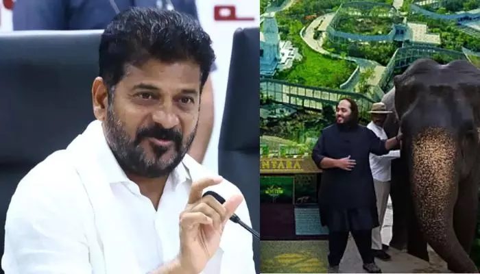 ఫ్యూచర్ సిటీలో జూ.. సీఎం రేవంత్తో ఎంఓయూ చేసుకున్న వంతారా బృందం ఫ్యూచర్ సిటీలో జూ.. సీఎం రేవంత్తో ఎంఓయూ చేసుకున్న వంతారా బృందం