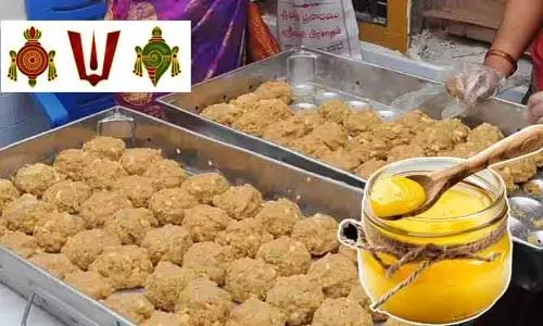 తిరుమల కల్తీ నెయ్యి కేసులో దర్యాప్తు ముమ్మరం.. మరో ఇద్దరు కీలక నిందితులకు కస్టడీ