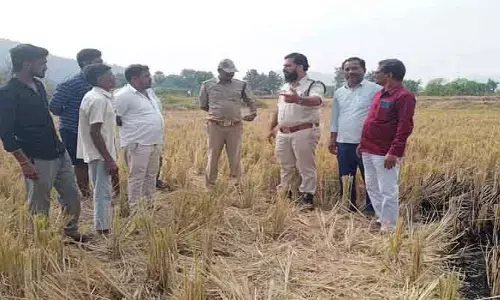 రాయపట్నంలో చిరుత కలకలం