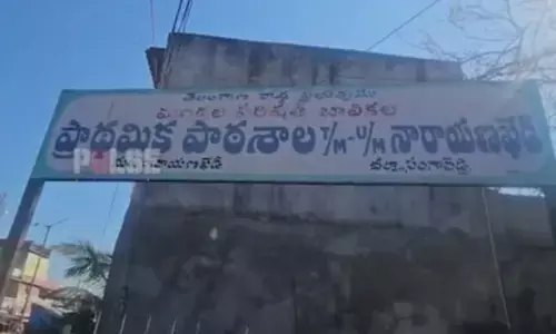 ఊడిపడిన పెచ్చులు