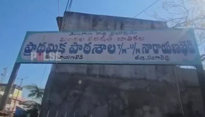 ఊడిపడిన పెచ్చులు ఊడిపడిన పెచ్చులు