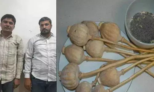 14.7 కిలోల పప్పి స్ట్రా డ్రగ్స్ స్వాధీనం