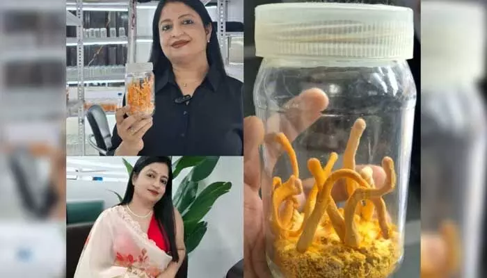 10 అడుగుల ఖాళీ స్థలం.. ఓ గంట సమయం.. కట్ చేస్తే ఏడాదికి రూ.10 లక్షల ఆదాయం 10 అడుగుల ఖాళీ స్థలం.. ఓ గంట సమయం.. కట్ చేస్తే ఏడాదికి రూ.10 లక్షల ఆదాయం