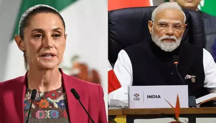 మెక్సికో సుంకాలకు ప్రతిస్పందిస్తాం: భారత్ మెక్సికో సుంకాలకు ప్రతిస్పందిస్తాం: భారత్