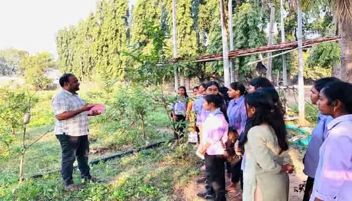 ఫీల్డ్ ట్రిప్ ద్వారా అనేక విషయాలు తెలుసుకోగలుగుతారు : హర్టికల్చర్ ఆఫీసర్ సందీప్ కుమార్ ఫీల్డ్ ట్రిప్ ద్వారా అనేక విషయాలు తెలుసుకోగలుగుతారు : హర్టికల్చర్ ఆఫీసర్ సందీప్ కుమార్