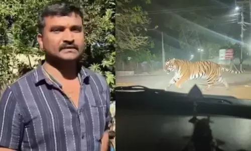 ఊర్లోకి పులివచ్చిందంటూ ఏఐ ఫోటో చేసి ప్రచారం.. వ్యక్తి అరెస్ట్