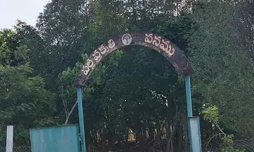 పల్లె ప్రకృతి వనాలను పట్టించుకునే వారెవరు..?