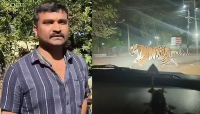 ఊర్లోకి పులివచ్చిందంటూ ఏఐ ఫోటో చేసి ప్రచారం.. వ్యక్తి అరెస్ట్ ఊర్లోకి పులివచ్చిందంటూ ఏఐ ఫోటో చేసి ప్రచారం.. వ్యక్తి అరెస్ట్