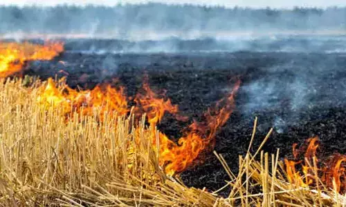 అగ్ని ప్రమాదం.. 20 ఎకరాల వరి పంట బుగ్గిపాలు