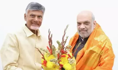 కేంద్ర హోంమంత్రి అమిత్ షాతో సీఎం చంద్రబాబు భేటీ