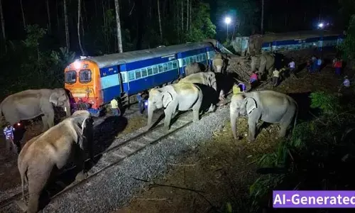 ఏనుగులను ఢీకొట్టి పట్టాలు తప్పిన రాజధాని ఎక్స్‌ప్రెస్