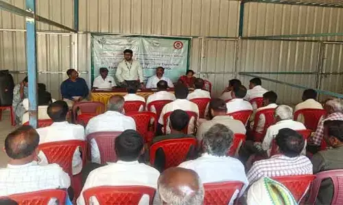 శనగ పంటలో యాజమాన్య పద్ధతులు పాటించాలి : ఏఓ వసంతారావు