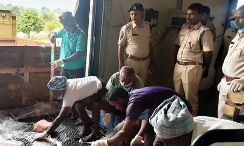 విశాఖలో 189 టన్నుల అక్రమ గోమాంసం పట్టివేత