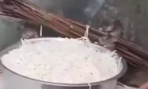 ఎలుకలు తింటుంటే చూసుకోవాలి కదా!
