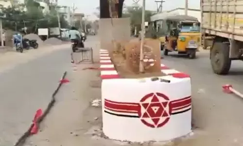 రోడ్డు డివైడరుకు పార్టీ రంగులేందయ్యా!!
