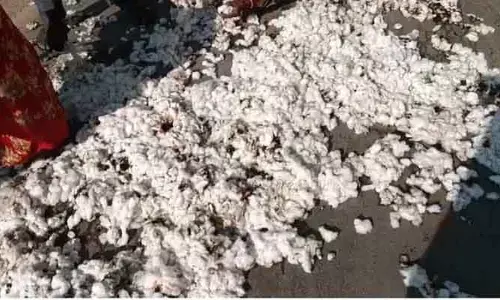 విద్యుత్ తీగలు తగిలి పత్తి దగ్ధం..!
