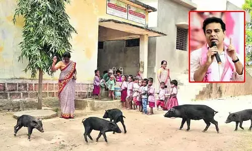 KTR: 12 మంది పిల్లలు.. 5 పందులు! కేటీఆర్ ఆసక్తికర ట్వీట్